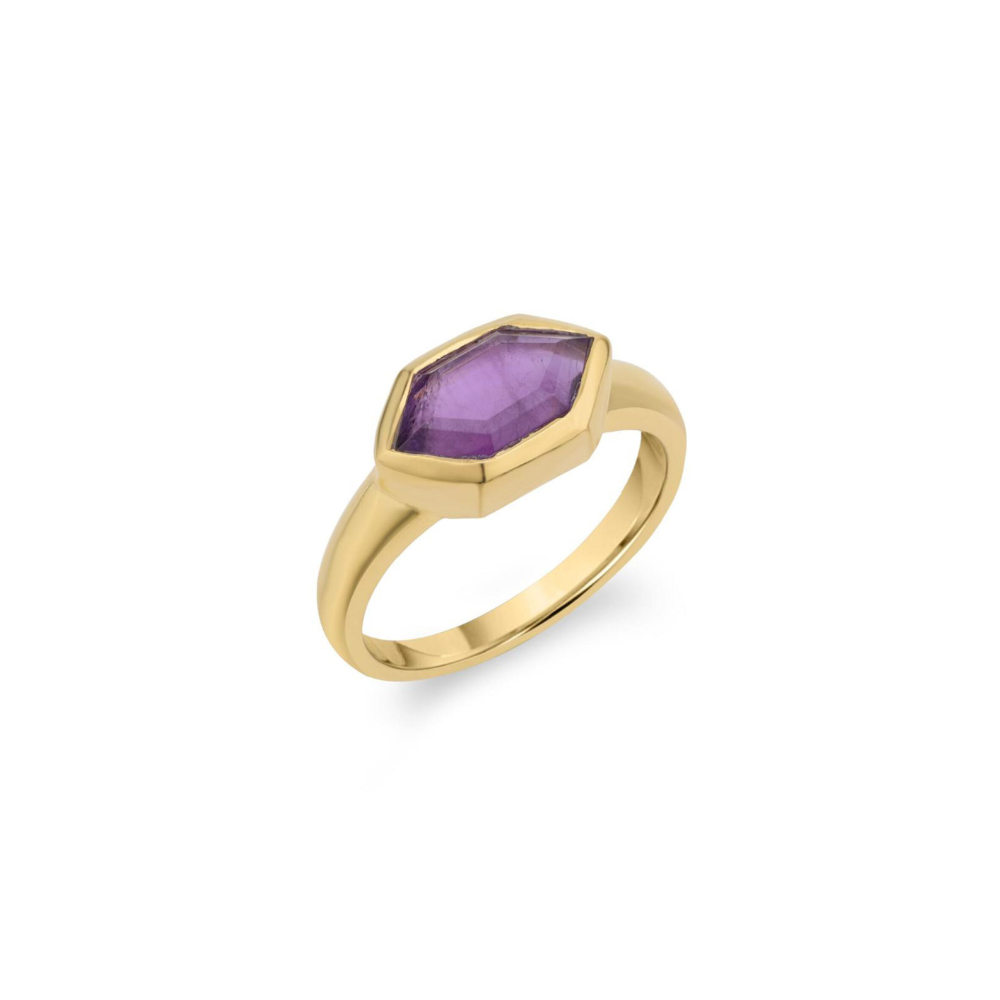 Anello Pushkar
