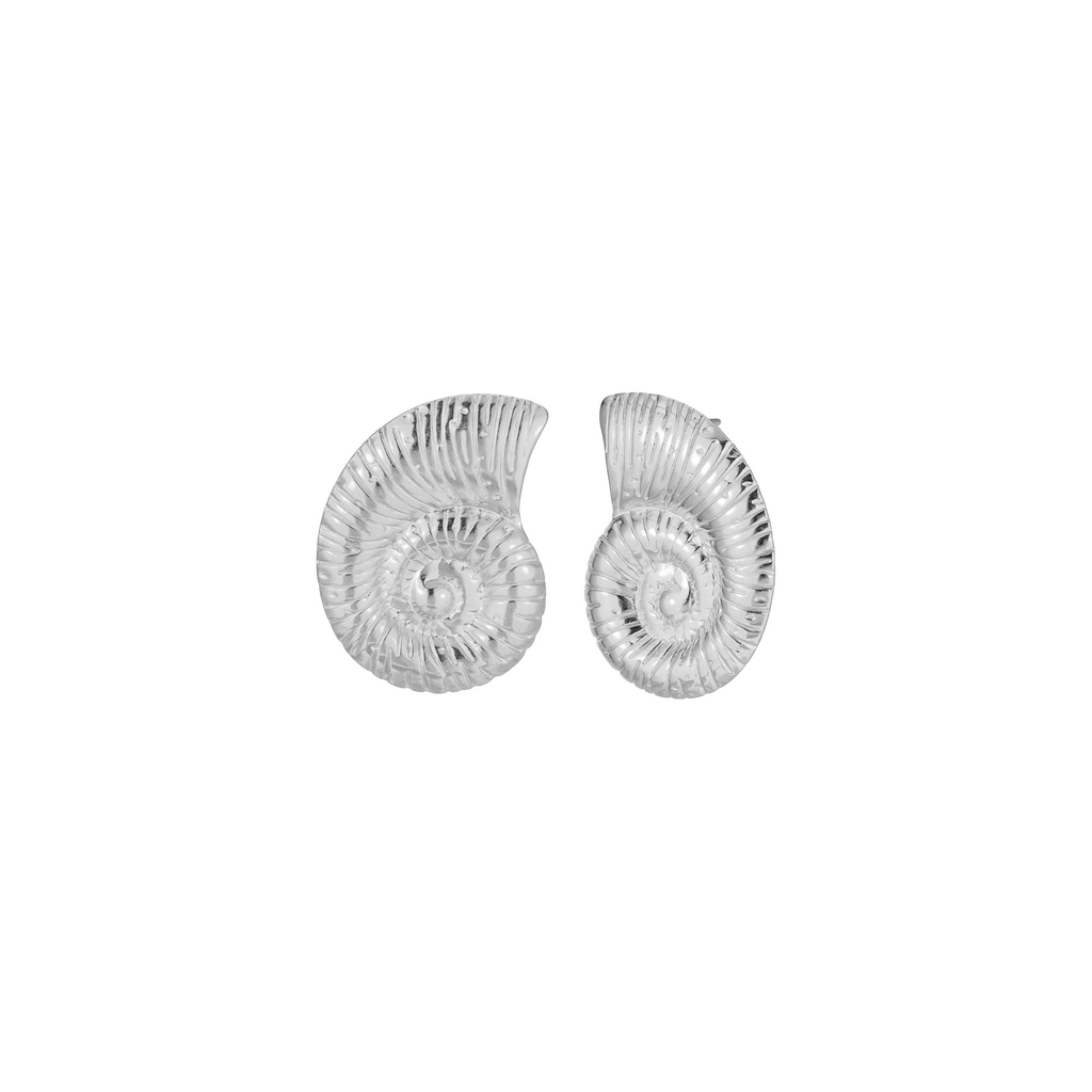 Orecchini Fossile di Chiocciola