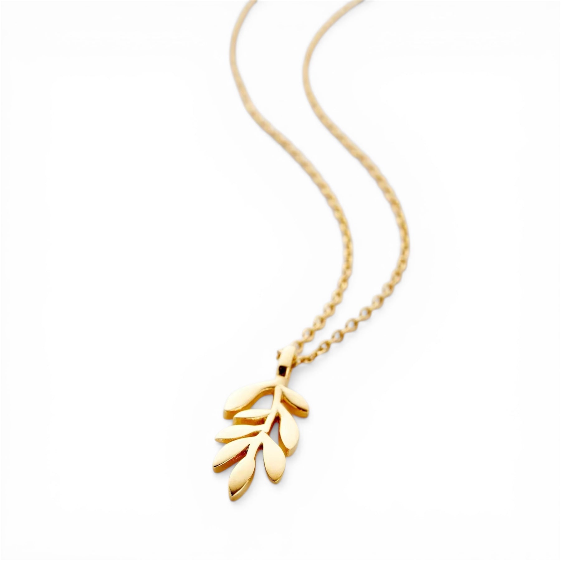 Olive collana